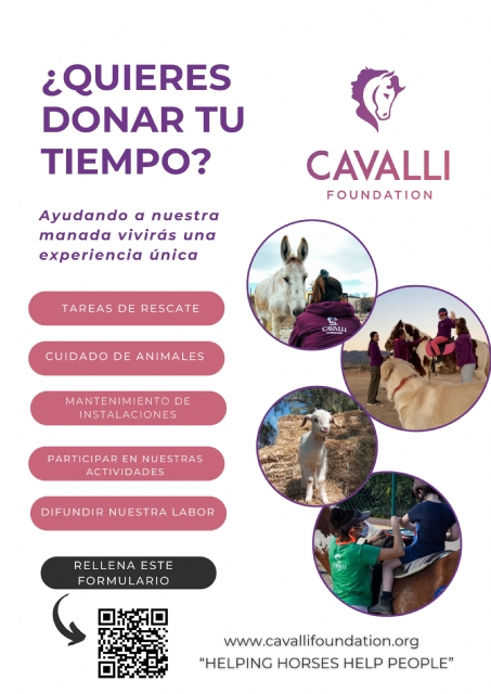 Descarga