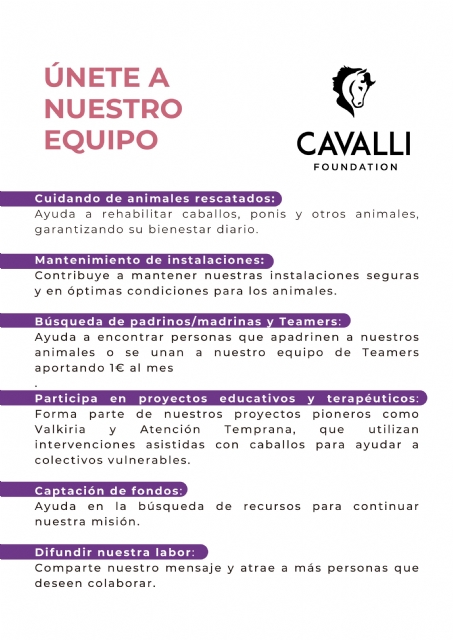 Descarga