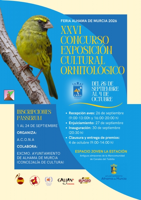 Descarga