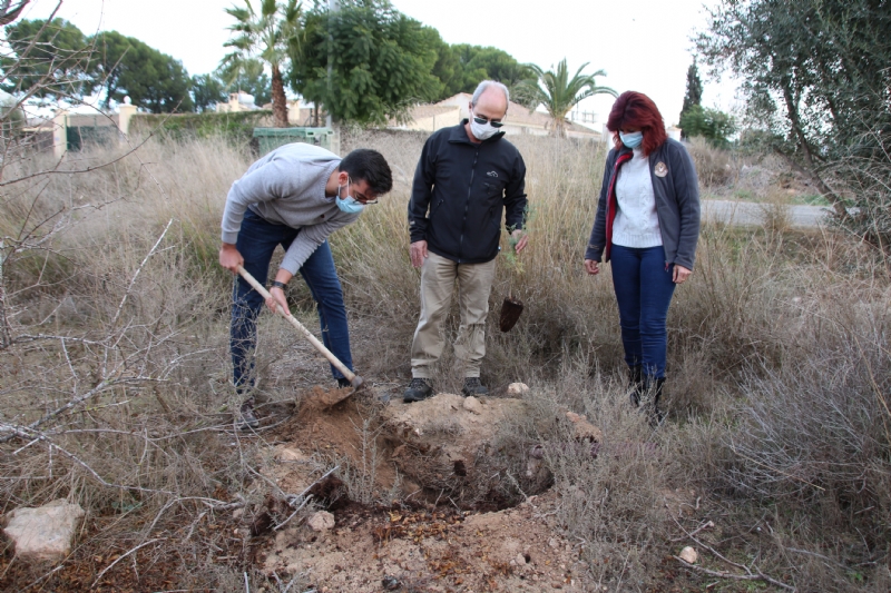 ACUDE y el Ayuntamiento de Alhama plantan 100 ejemplares de tarays en la Alcanara