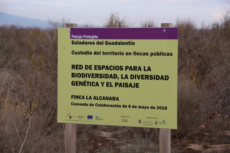 ACUDE y el Ayuntamiento de Alhama plantan 100 ejemplares de tarays en la Alcanara