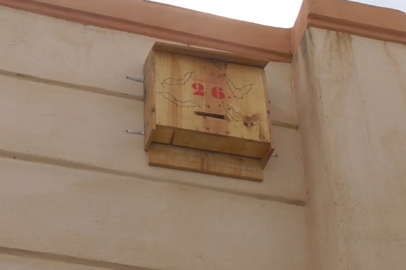 El Ayuntamiento instala 46 cajas nido con la colaboracin de la asociacin Meles