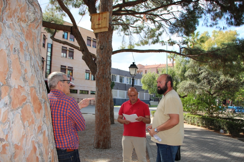 El Ayuntamiento instala 46 cajas nido con la colaboracin de la asociacin Meles