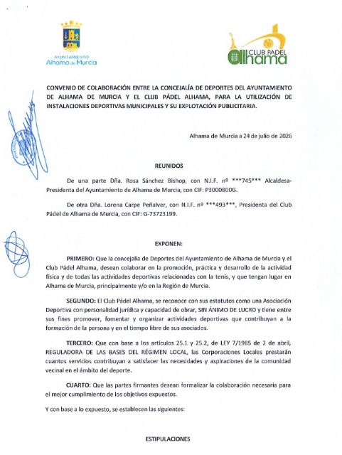 Descarga