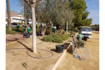 Trabajos de mantenimiento y mejora en el jardín de El Palmeral