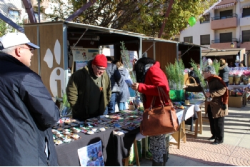 Casi una veintena de asociaciones de Alhama celebra el Día del Voluntariado
