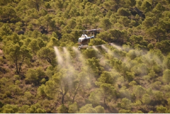 Tratamientos aéreos contra la plaga de la procesionaria del pino en La Muela de Alhama