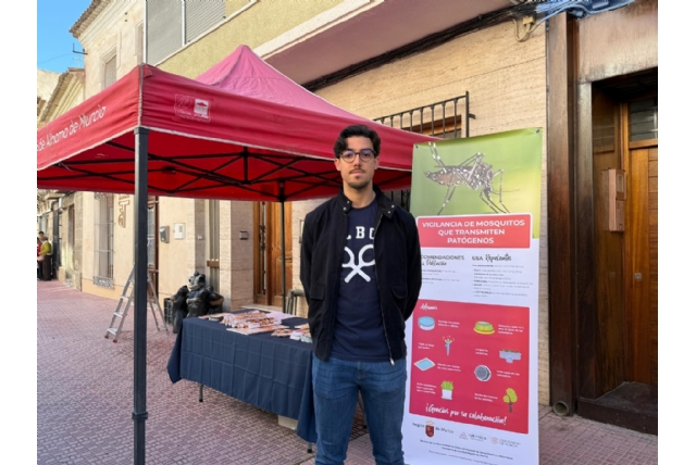 El Ayuntamiento activa una campaña contra el mosquito tigre hasta diciembre para frenar su proliferación