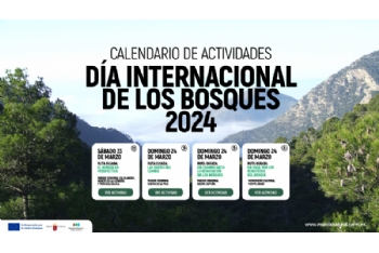Actividades gratuitas por el Día Internacional de los Bosques 2024
