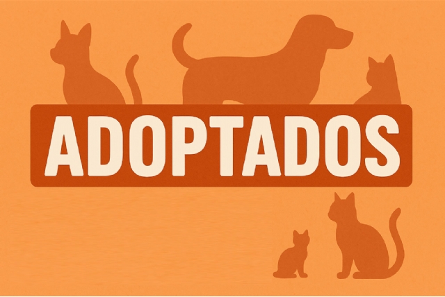 Adoptados