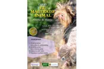 Cursos de Bienestar Animal: ‘El maltrato animal’ y ‘Legislación aplicable a las colonias felinas’