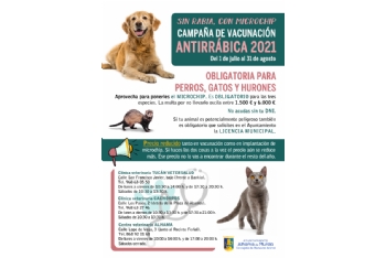 Presentación campaña vacunación antirrábica y microchip