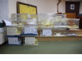 Más de 1.400 vecinos votan en los primeros presupuestos participativos de Alhama