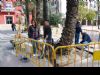 El Ayuntamiento reconstruye los alcorques de la plaza de La Constitución