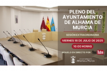 Convocatoria del Pleno Extraordinario: viernes 18 de julio de 2025