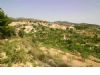 Patrimonio Natural encuesta a la población alhameña sobre el “Plan de Gestión Ecológica y Socioeconómica de El Berro y su entorno”