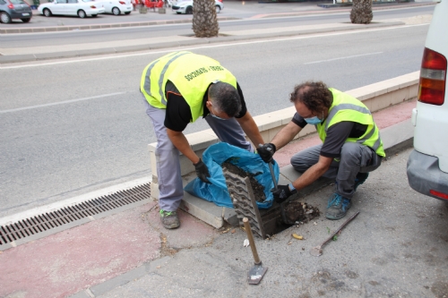 Limpieza de imbornales y rambla