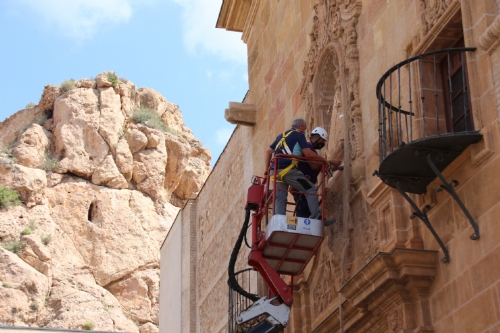 Instalación malla de palomas en la iglesia de San Lázaro