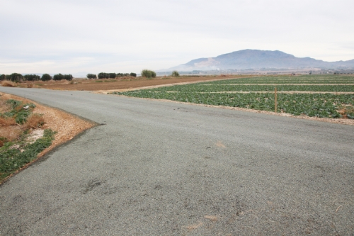 Camino de la Alcanara