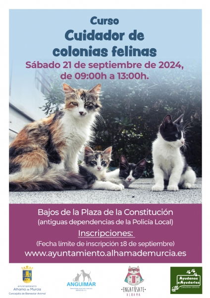 Curso Colonias Felinas