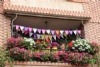 Premios del III Concurso de Decoración de Balcones y Ventanas Los Mayos 2023 - Foto 3